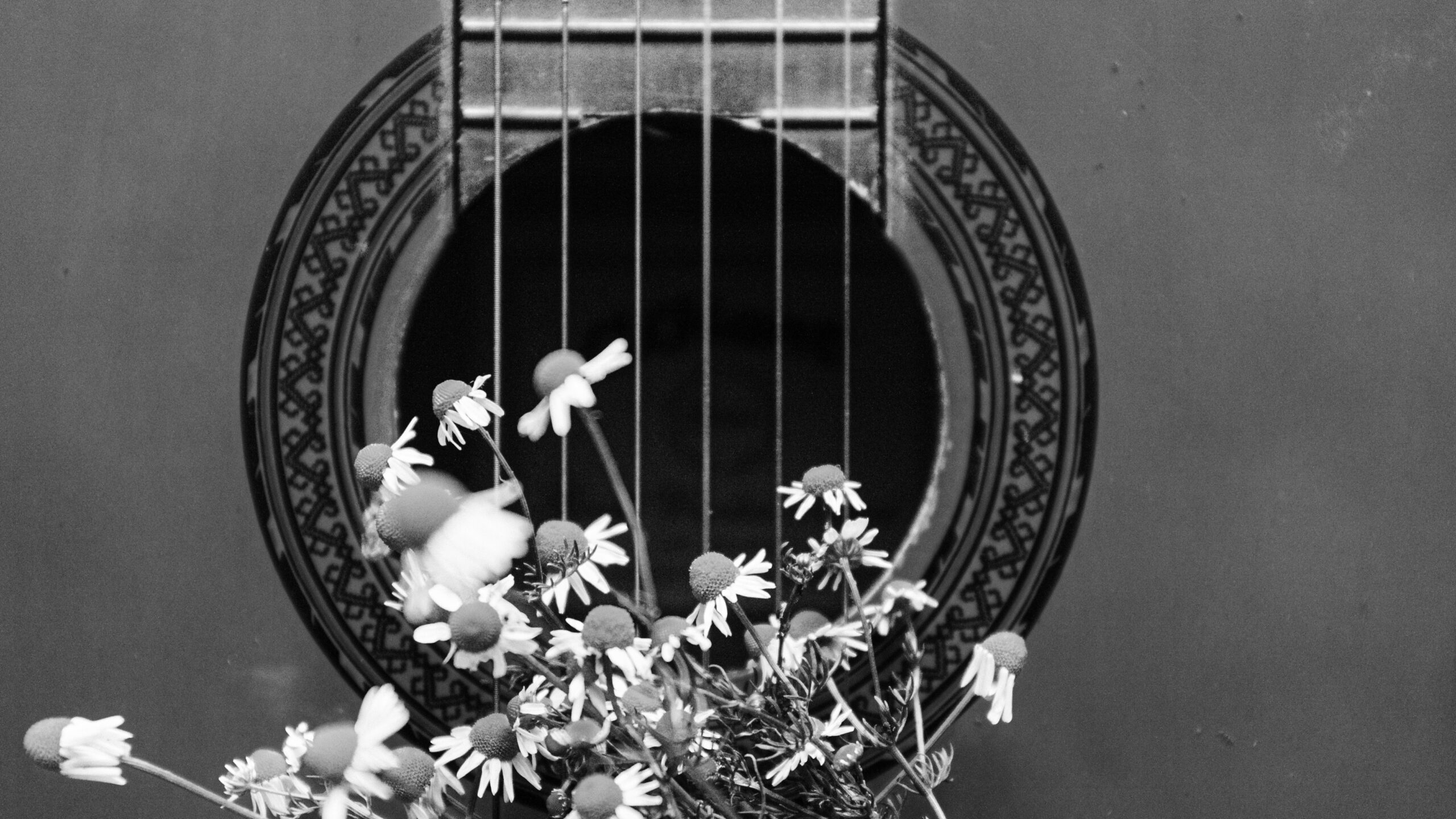 guitarra y flores-unsplash